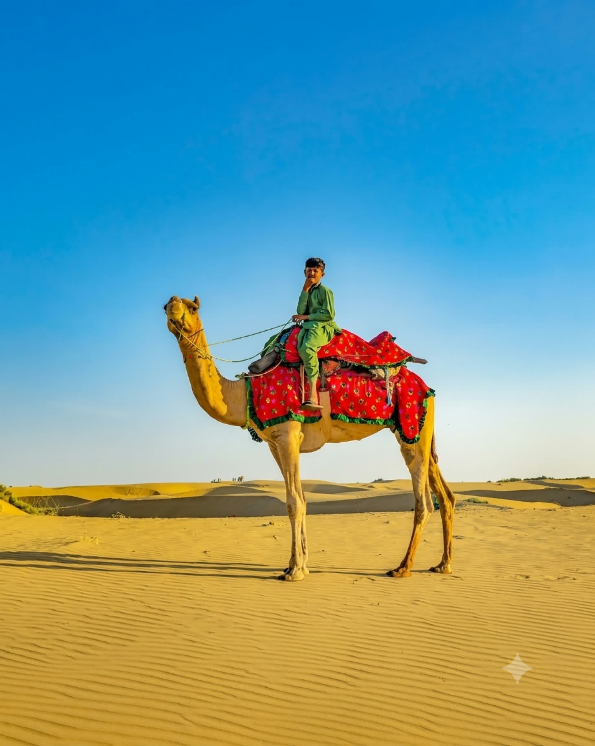 Desert Camel Safari